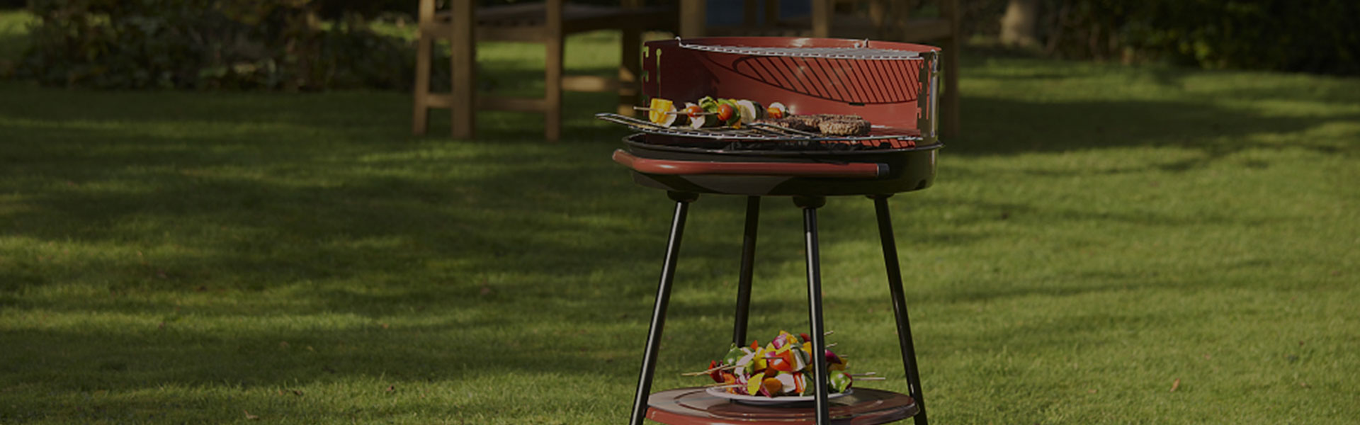 Toposon-Betrouwbare Camping Barbecue Apparatuur Leverancier